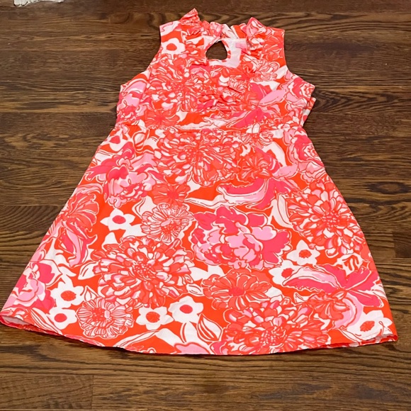 Lily Pulitzer Beautiful Floral Dress - Picture 9 of 10